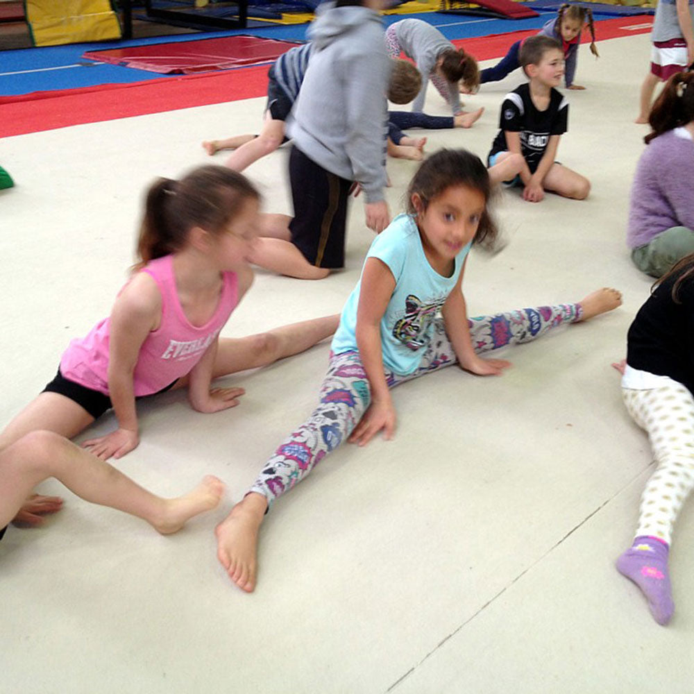 Gym Fun | General Gymnastics Classes in Auckland - Waitakere Gymnastics